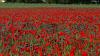 Bild "DSC01298.jpg"