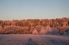 Bild "IMG_2825.jpg"