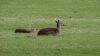 Bild "DSC00278.jpg"