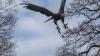 Bild "DSC00521.jpg"