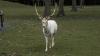 Bild "P1000479.jpg"